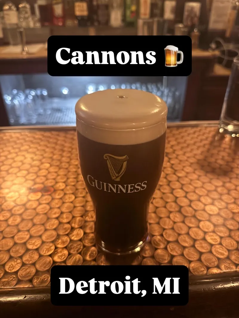 Cannons — photo 1