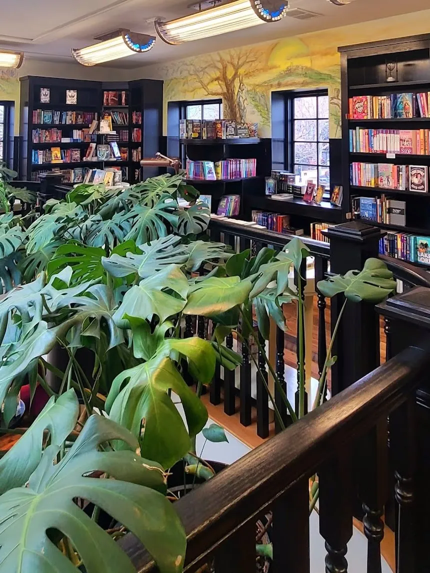 Coreander's Bookstore — photo 3