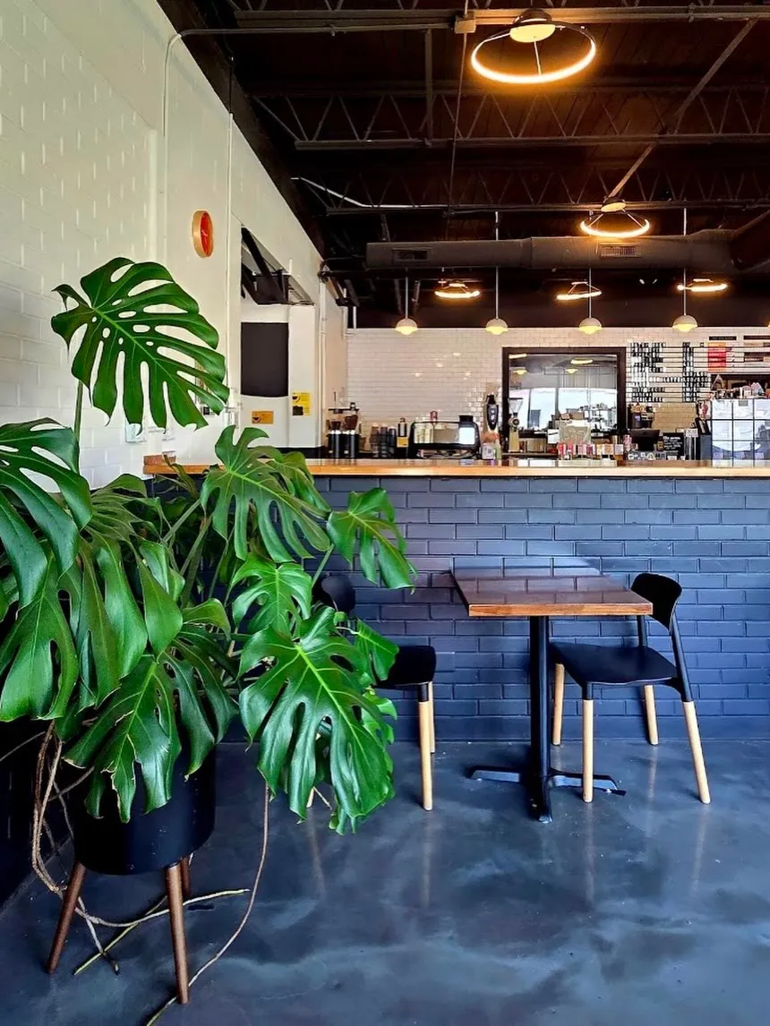 Dessert Oasis Coffee Roasters (Ferndale) — photo 4