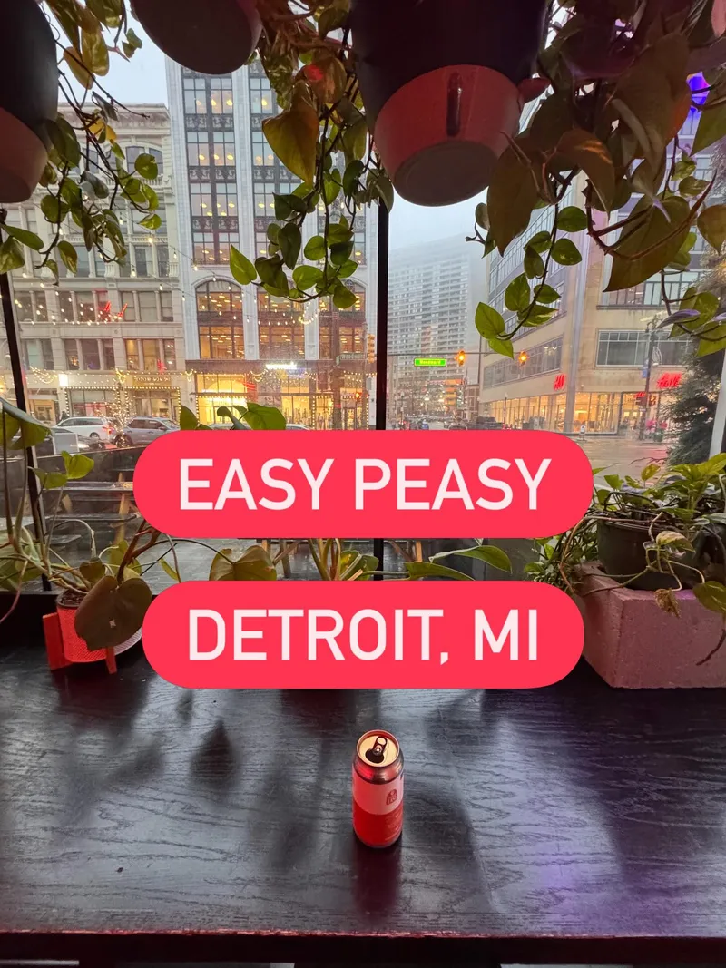 Easy Peasy — photo 1