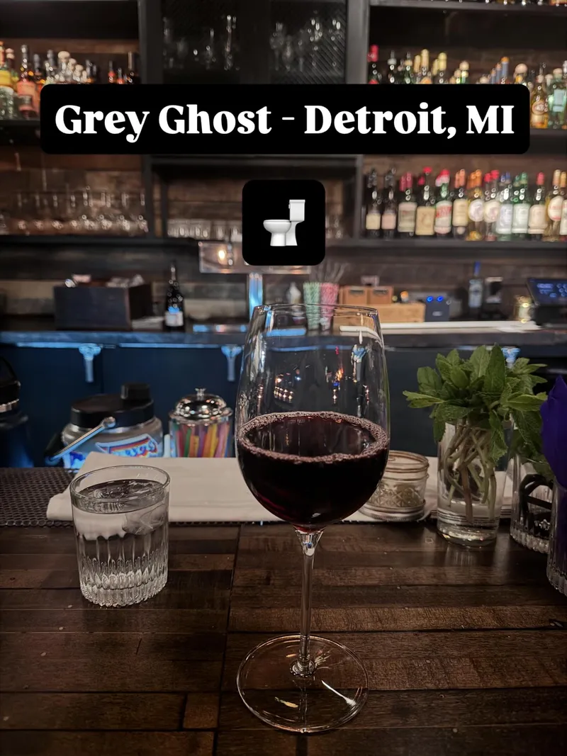 Grey Ghost — photo 1