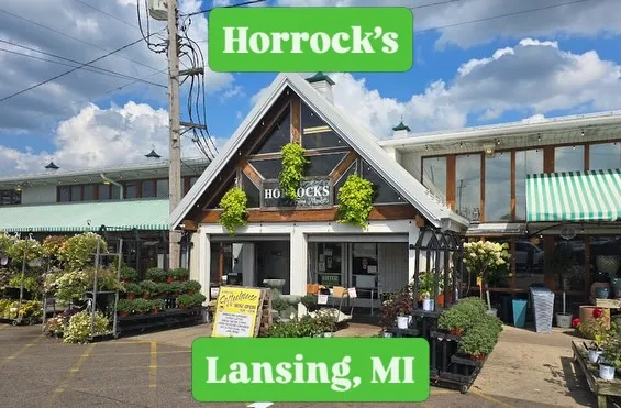Horrocks — photo 1