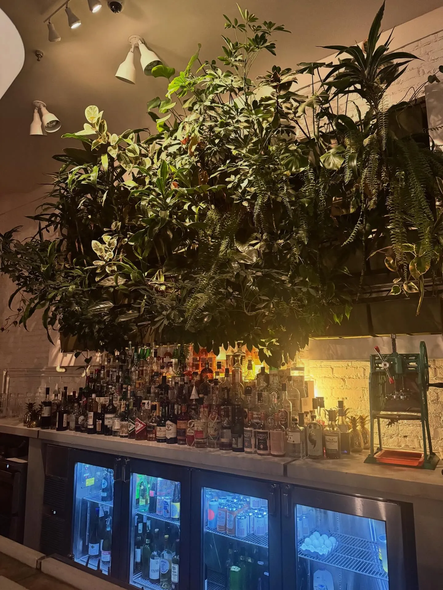 Public House — photo 3