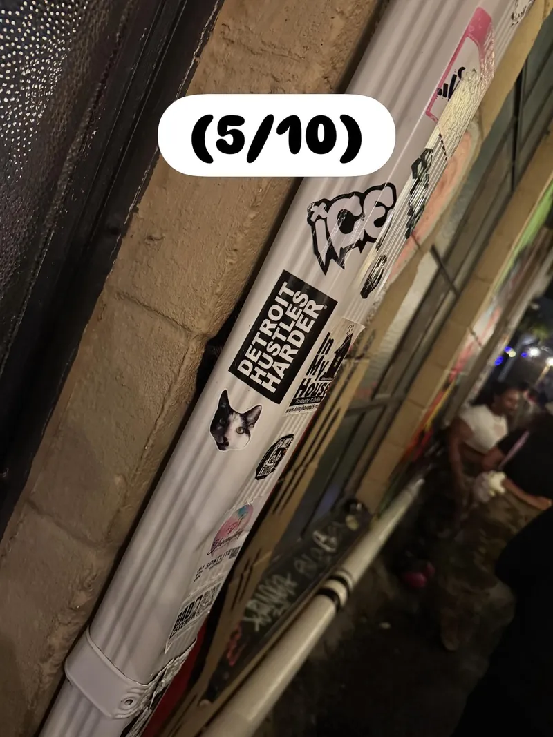 Spot Lite — photo 7