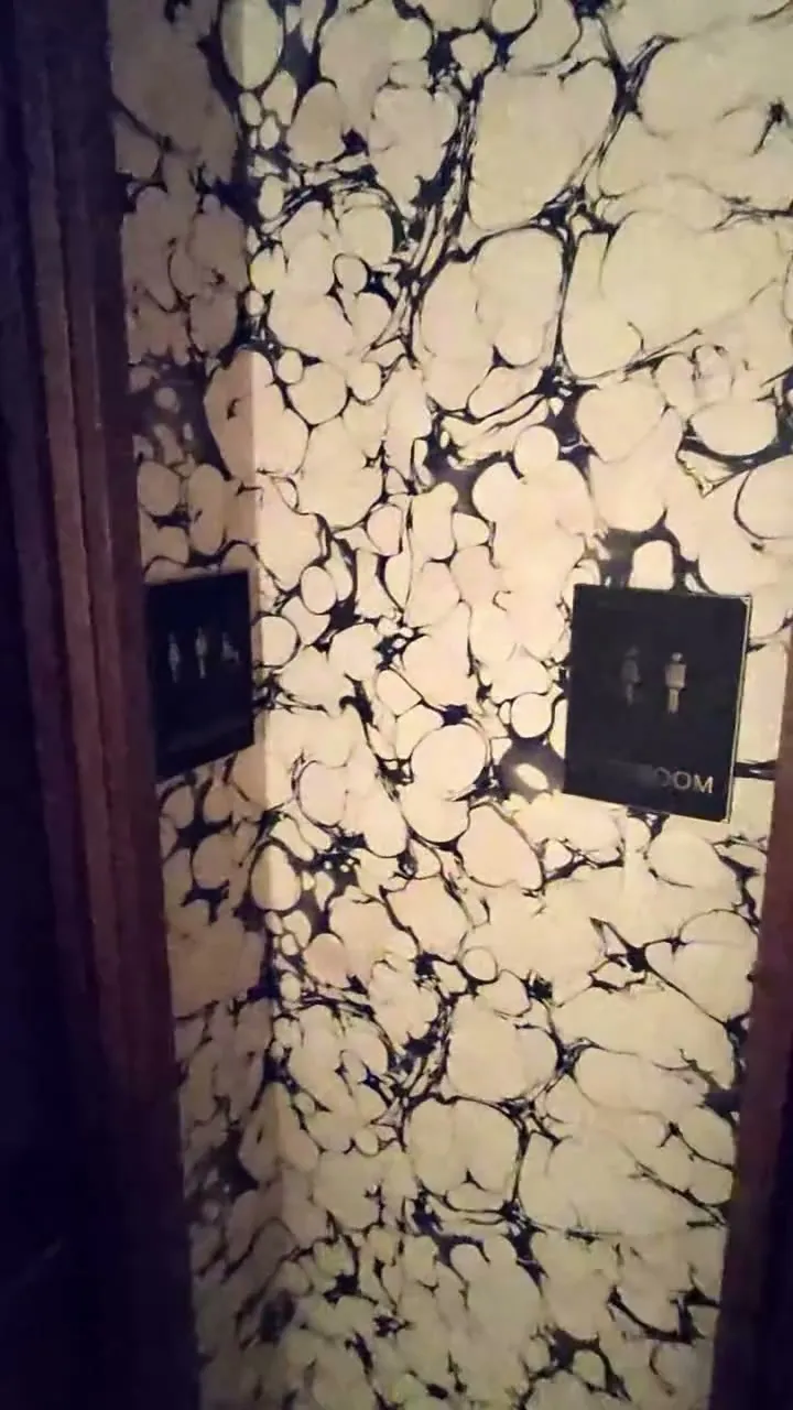 The Evening Bar — photo 2