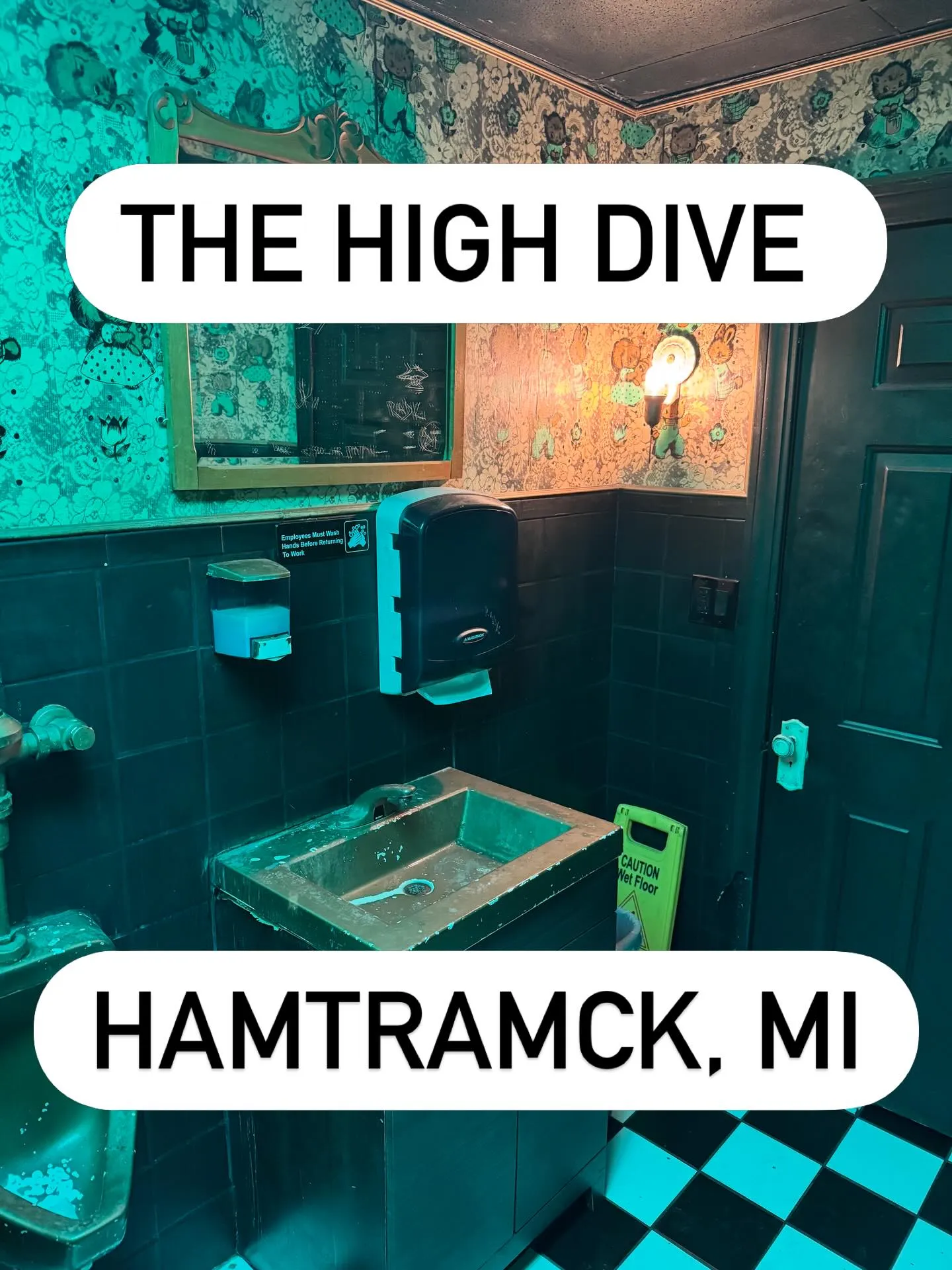 The High Dive — photo 1