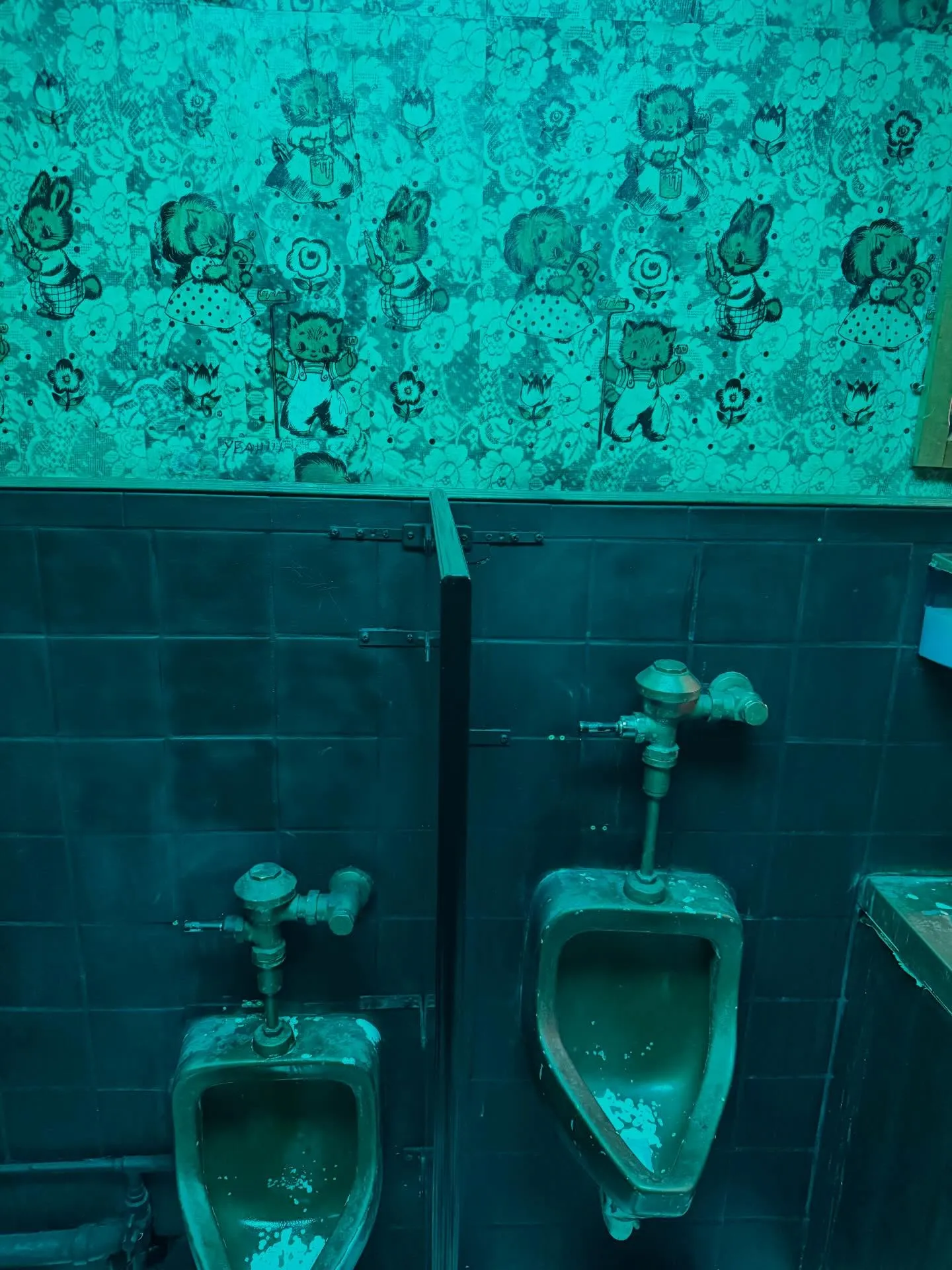 The High Dive — photo 3