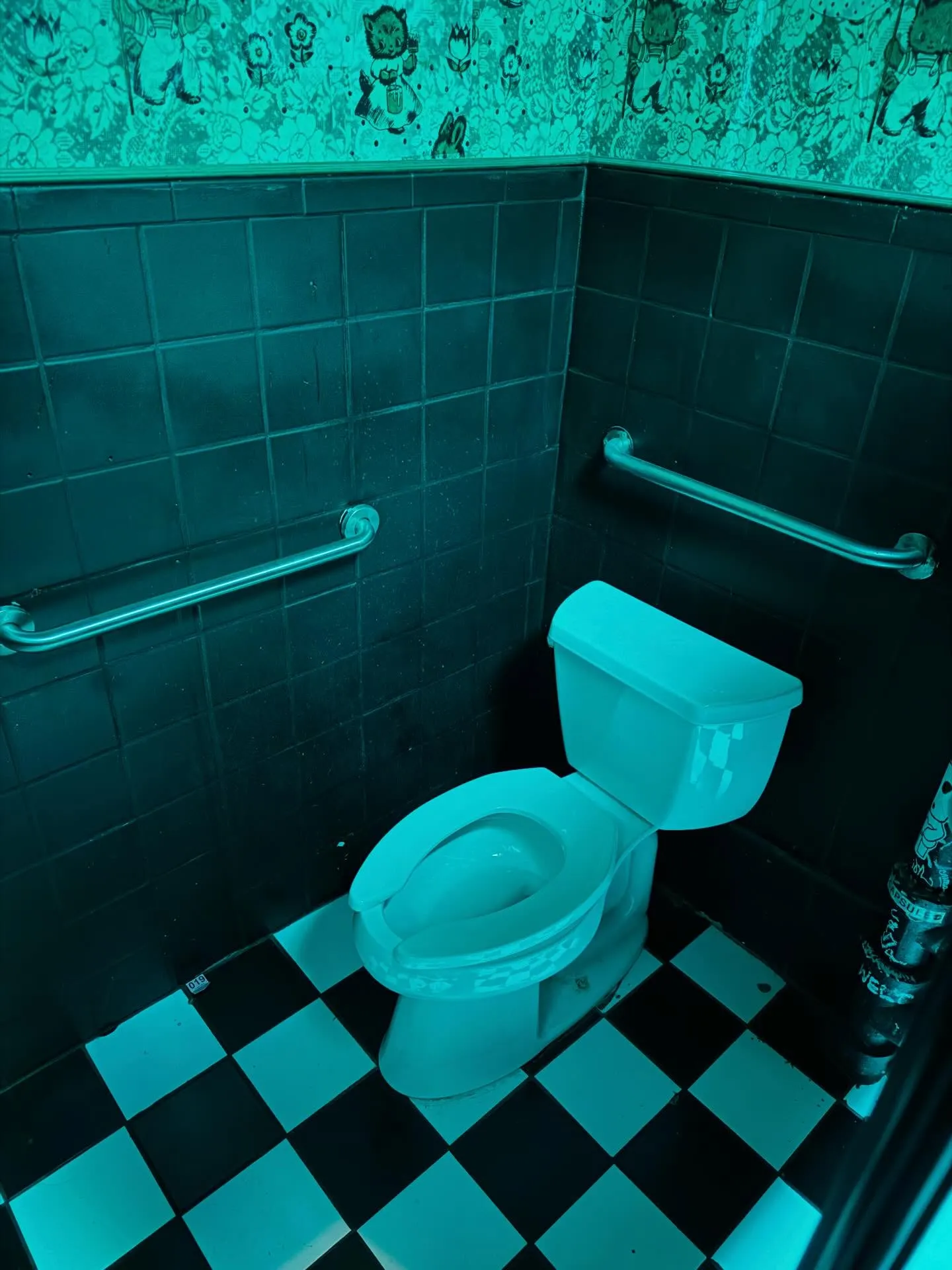 The High Dive — photo 4