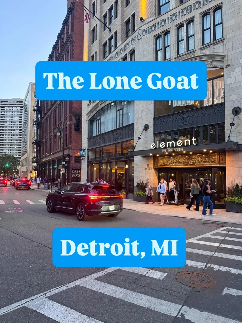The Lone Goat — photo 1