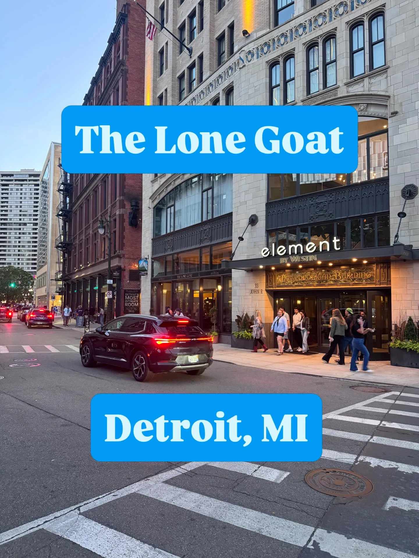 The Lone Goat — photo 1