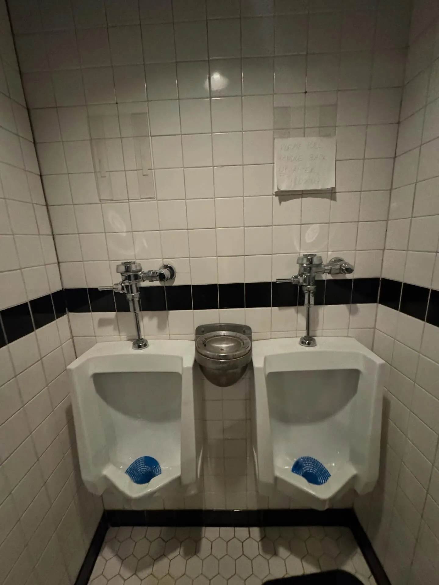 The Schvitz — photo 3