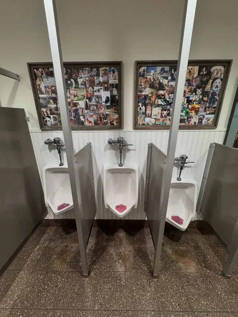 The Stray Dog Bar & Grill — photo 4