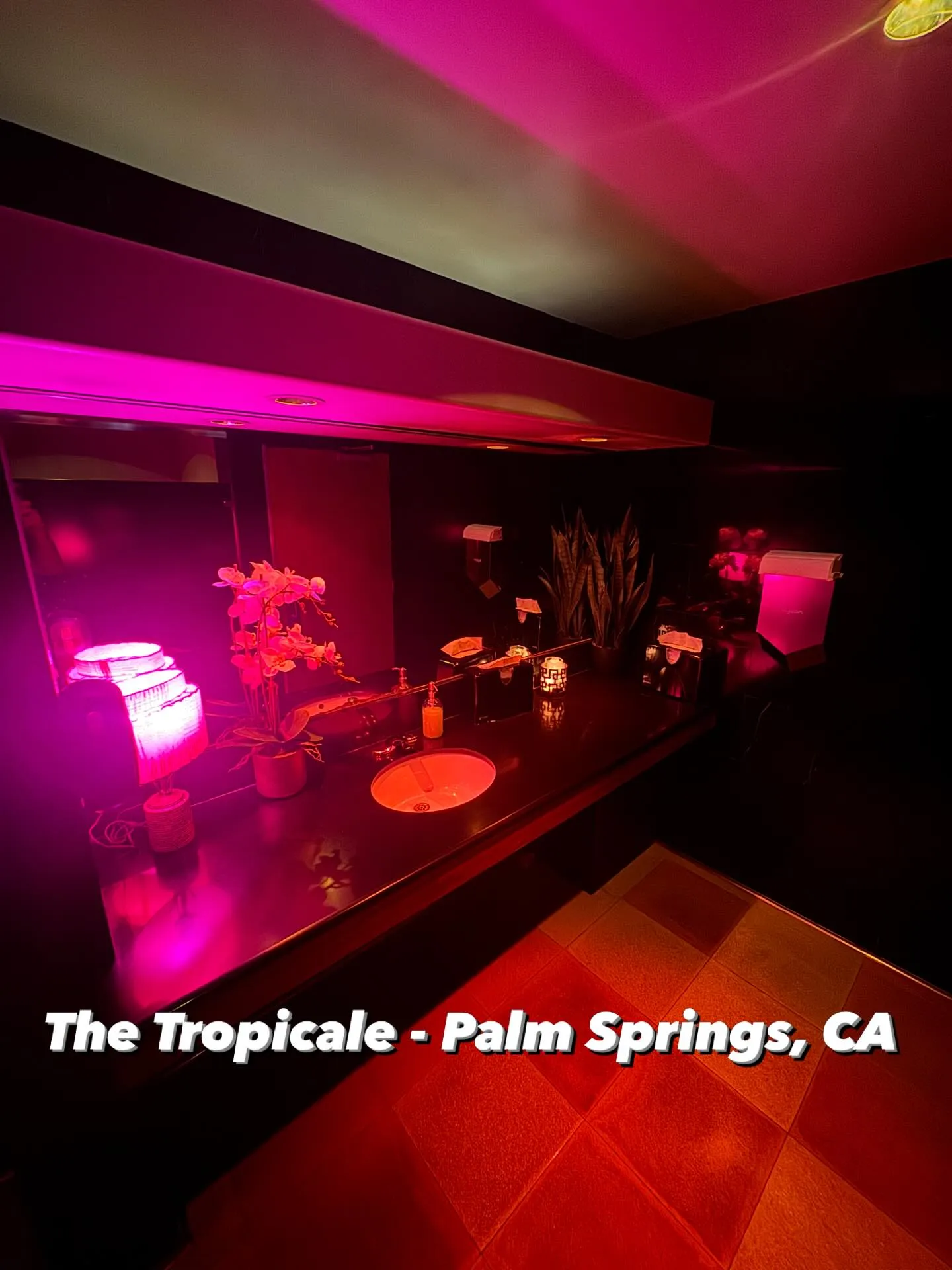 The Tropicale — photo 1