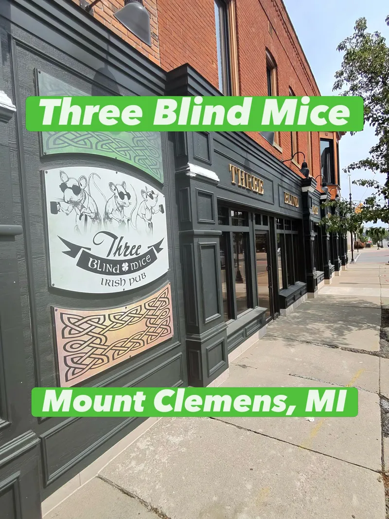Three Blind Mice Irish Pub — photo 1