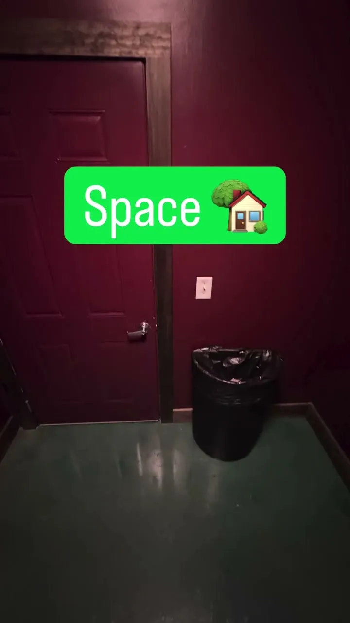 Tigris — photo 3